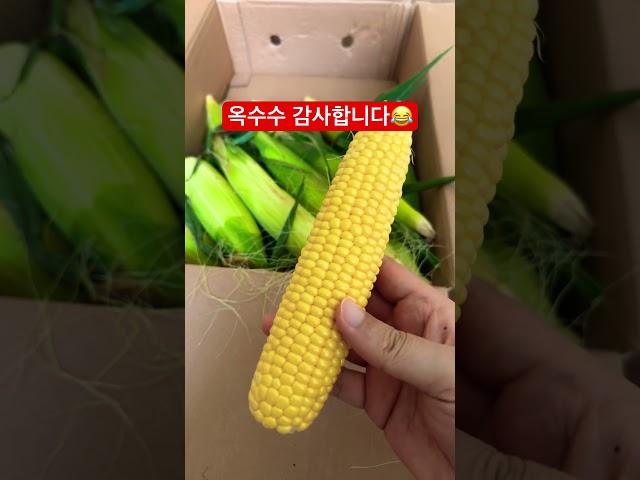 옥수수 코인 감사합니다. 애봉이님 선물