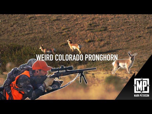 Colorado Pronghorn Rifle Hunt | Mark V Peterson Hunting