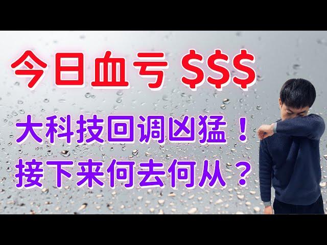 今天我亏了多少$$$ 大科技回调，买？最新买入加仓价格点位