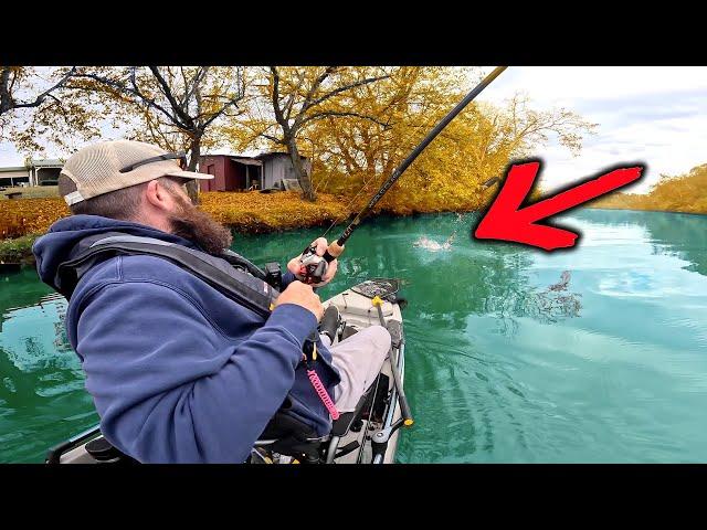 INSANE River Fishing! GIANT Bass, Epic Topwater, and MORE!