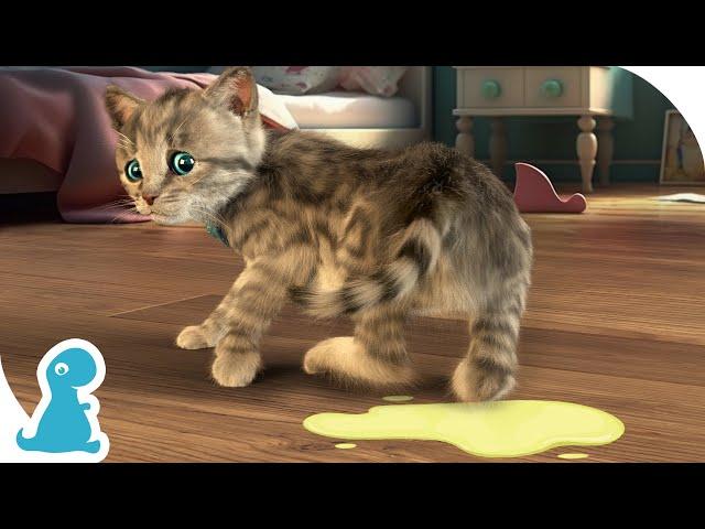 CUTE LITTLE KITTEN ADVENTURE - NAUGHTY KITTY MADE A PUDDLE - SPECIAL NEW KITTY VIDEO