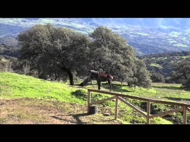 Mirador del Corcho, Cortes de la Frontera, Serranía de Ronda (Málaga)