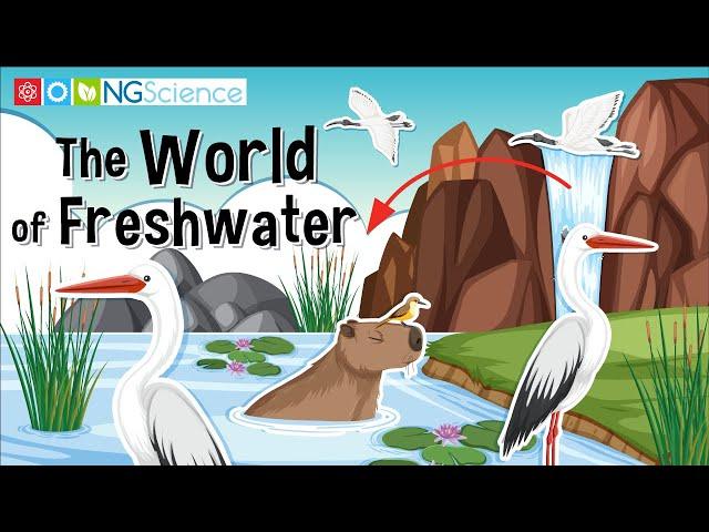 The World of Freshwater