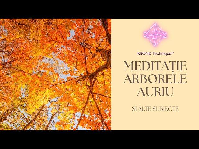 Ce înseamnă sa lucrezi energetic + meditație arborele auriu