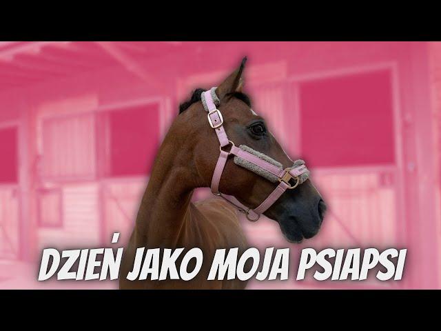 SPĘDŹ ZE MNĄ DZIEŃ W STAJNI JAKO MOJA PSIAPSI 🩷