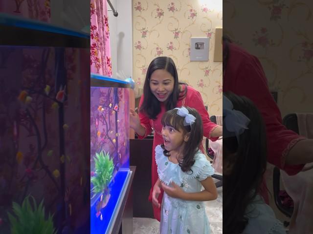 Reedishna Ka New Aquarium #shortvideo #trending #happy #siliguri #momandreedishna