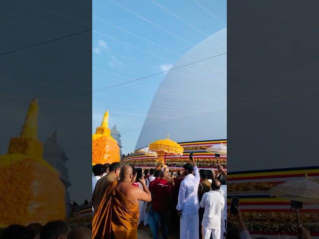 ස්වාර්ණමාලී මහා ථූපාභිවන්දනා පිංකමේ අසිරිමත් දසුන් | #srilanka #ruwanweliseya #galduwa #anuradhapura