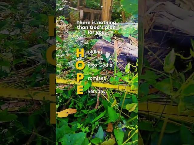 HOPE ,️️