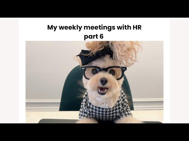 My weekly meetings with HR part 6