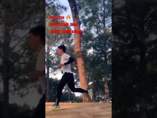 #youtubeshorts #viralvideo #trailrunner @sumankulung#highlights #video