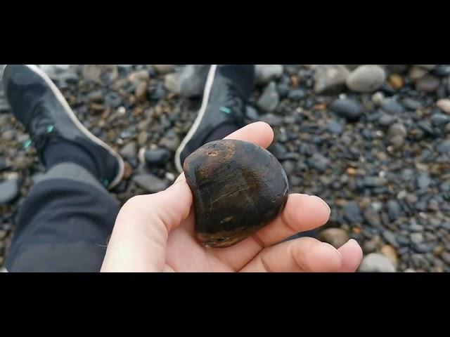 Yachats Agate - Oregon Rockhounding
