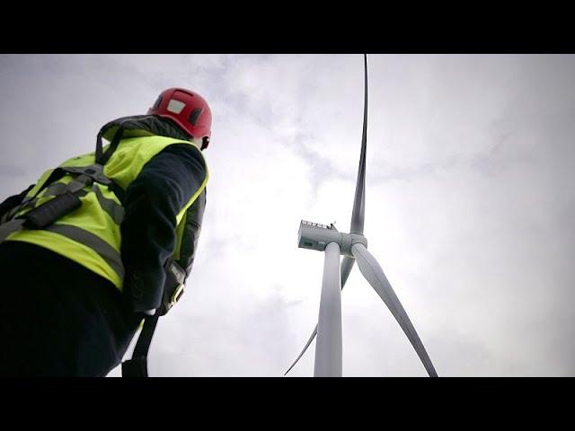 Ветер перемен: Европа заменяет российский газ растущими парками морских ветряков…