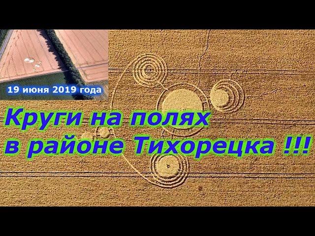 Круги на полях в районе Тихорецка !!!+ новая рубрика