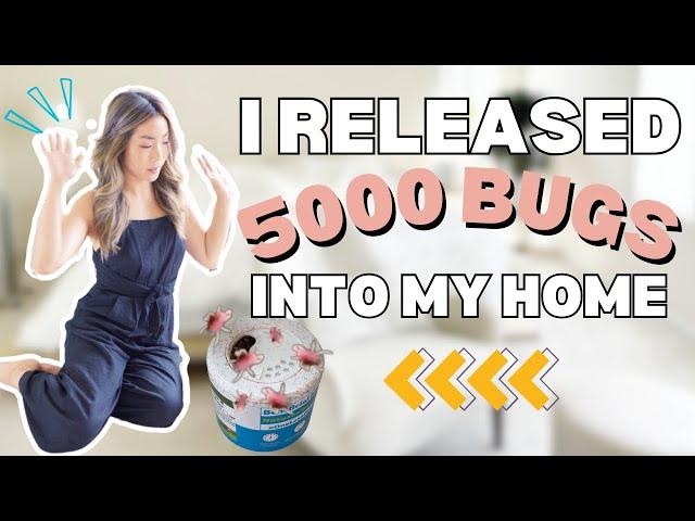 What Happened When I Released 5000 BUGS Into My Home | Beneficial Insects | Houseplant Chores + Tips