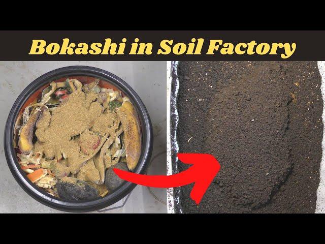 Bokashi Bucket Single Bucket Method with Indoor Soil Factory