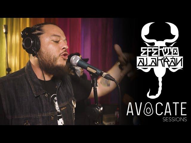 EFEKTO ALAKRÁN FT. MUELAS DE GALLO (LA BANDA BASTÖN) Y CAT SCRATCHO || Avocate Sessions