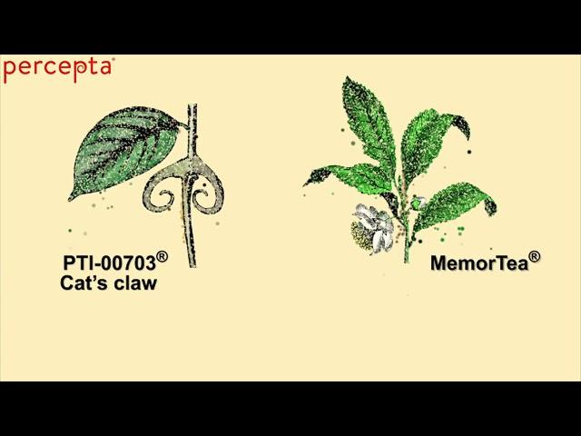 Percepta® - Natural plant-based memory support