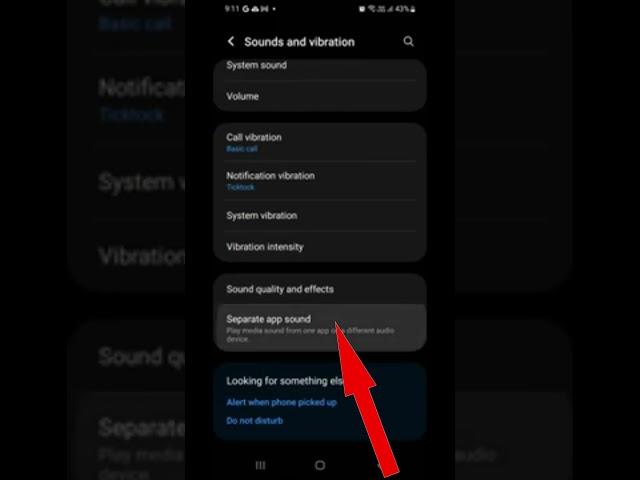 How to Turn On Separate App Sound