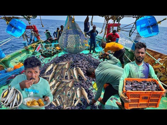 First Time in India | Mid Water Pelagic Trawl Door | Delicious Breakfast Barracuda Fish Gravy