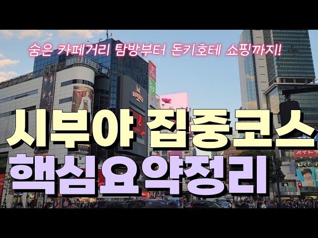 도쿄여행시부야 핵심명소 집중코스 | 돈키호테 가성비 꿀템 소개 | JONETZ