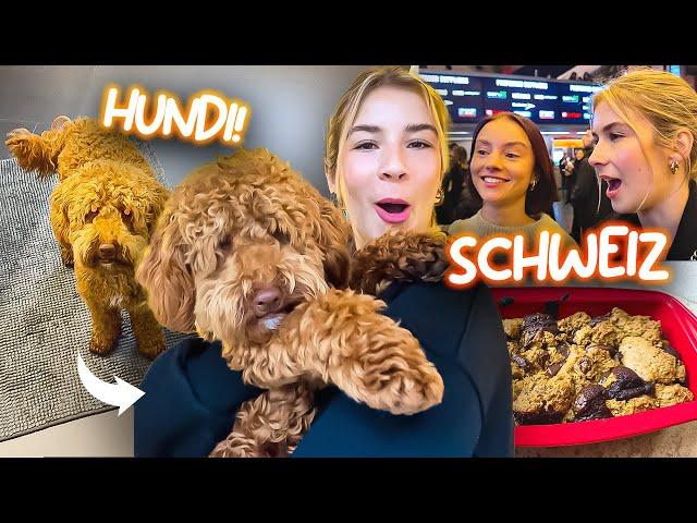 I'm getting a DOG  | Zurich VLOG & Simon's HYROX 