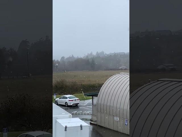 Snow from Atop Redwood Memorial Hospital in Fortuna