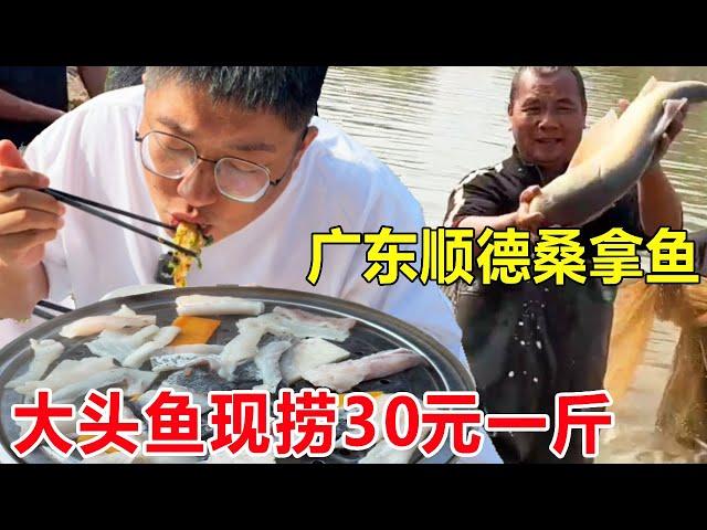 Guangdong Shunde sauna fish  big head fish now catch 30 yuan a kilo  steamed for 60 seconds to eat