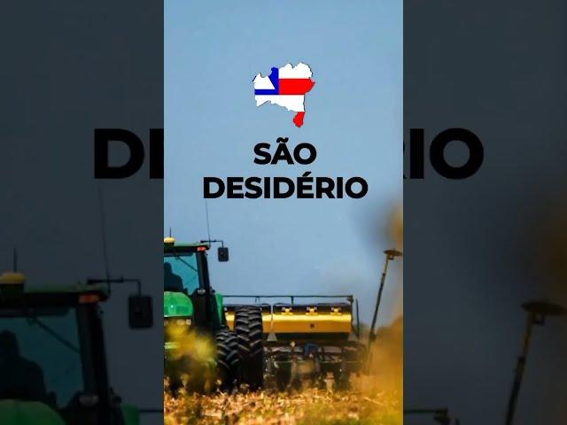 Conheça os 5 municípios mais ricos do agronegócio brasileiro!