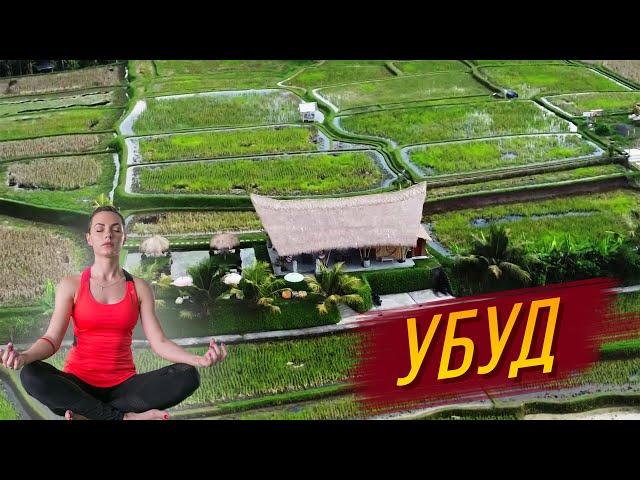 Убуд Бали - Самый духовный район??? | Где Жить на Бали | Районы Острова Бали
