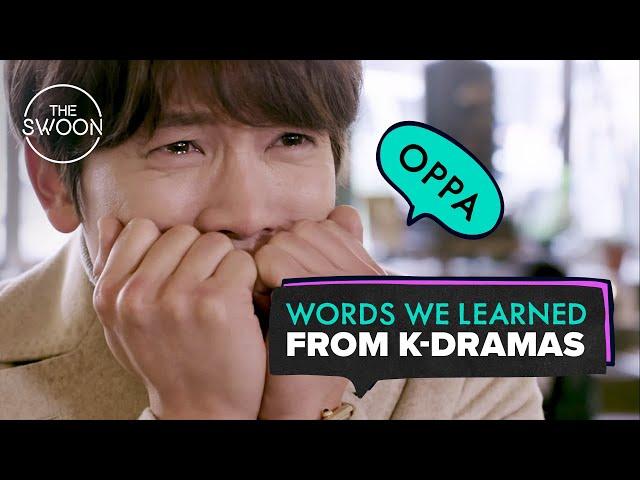 Words we learned from K-dramas [ENG SUB]