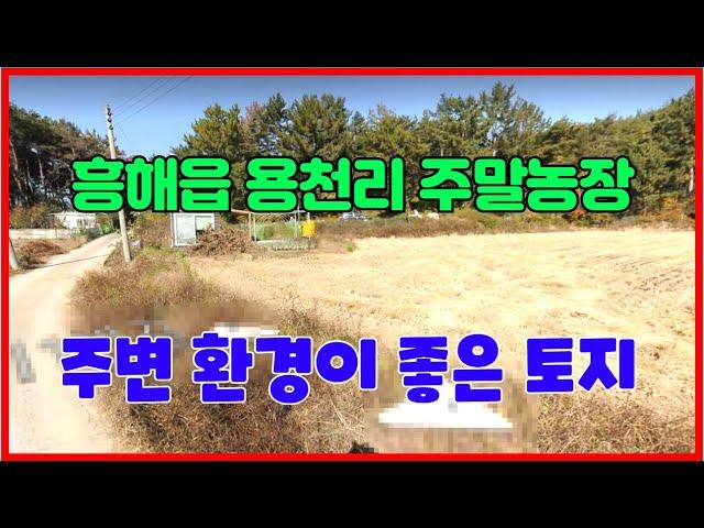 322. 용천리 주말농장매매 포항에서 가까운곳 흥해 전원주택부지매매  농막이 있는 포항 밭매매 소나무가 많은 용천리전원주택부지매매 포항부동산 흥해부동산 지목부동산 주말농장매매