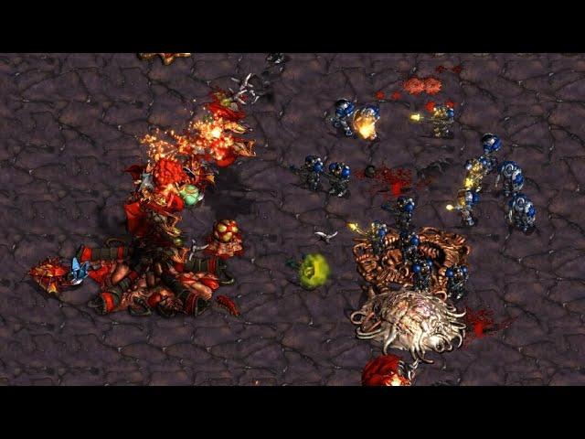 CHAAAARGE! Light!  (T) vs Queen!  (Z) on Polypoid - StarCraft - Brood War