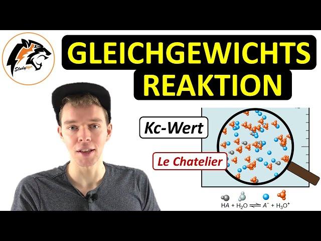 Chemisches Gleichgewicht – (Kc-Wert, MWG + Übungen) | NEU