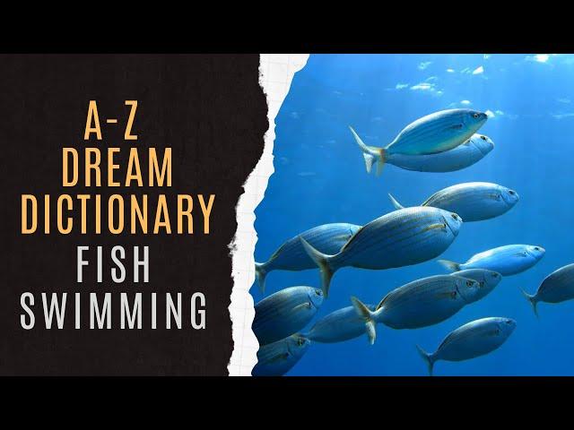 Fish Swimming Dream Dictionary | Spiritual Meaning Of Fish Swimming Dream