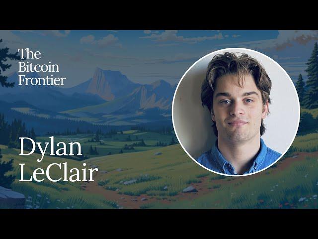 How bitcoin’s volatility is creating a powerful positive feedback loop | Dylan LeClair