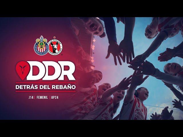 ¡Chivas Femenil goleó a Xolas! | Detrás del Rebaño | Apertura 2024