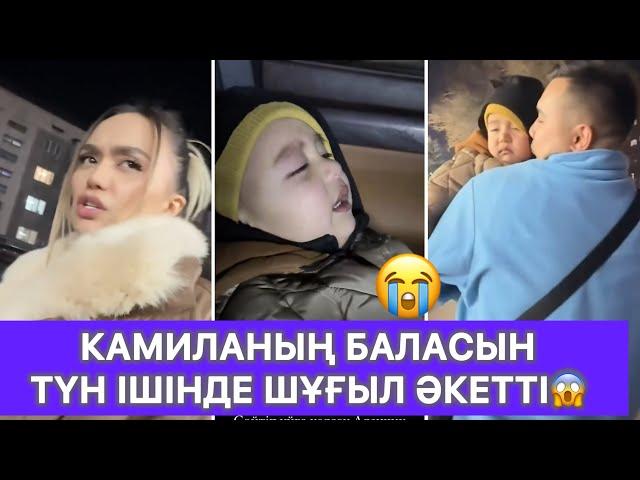 Камиланың баласын түн ішінде шұғыл әкетті