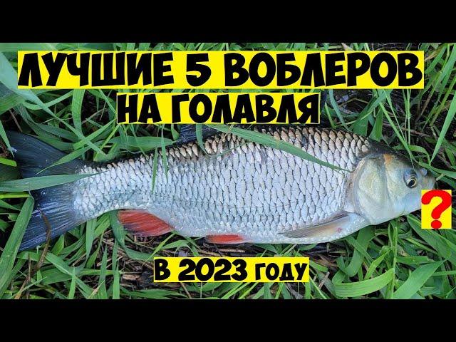 ТОП 5 Лучшие ВОБЛЕРЫ на ГОЛАВЛЯ в 2023 году! Ловля Голавля на Спиннинг! Рыбалка на голавля! Голавль