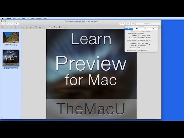 Mac Tutorial: Resize Image Files with the Preview App