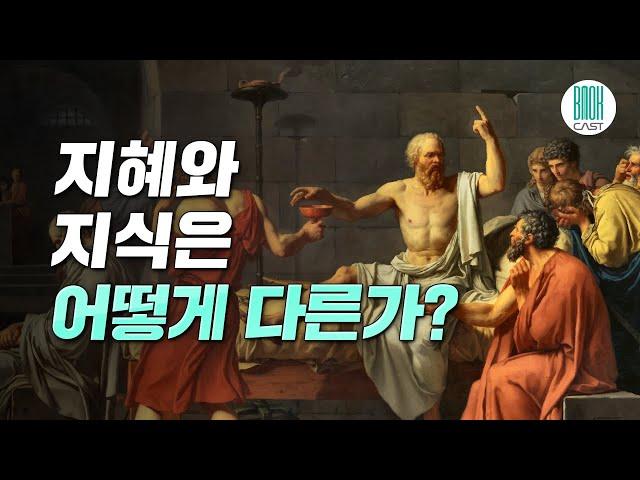 소크라테스 익스프레스 - 지혜와 지식은 어떻게 다른가? (셀럽북리뷰)