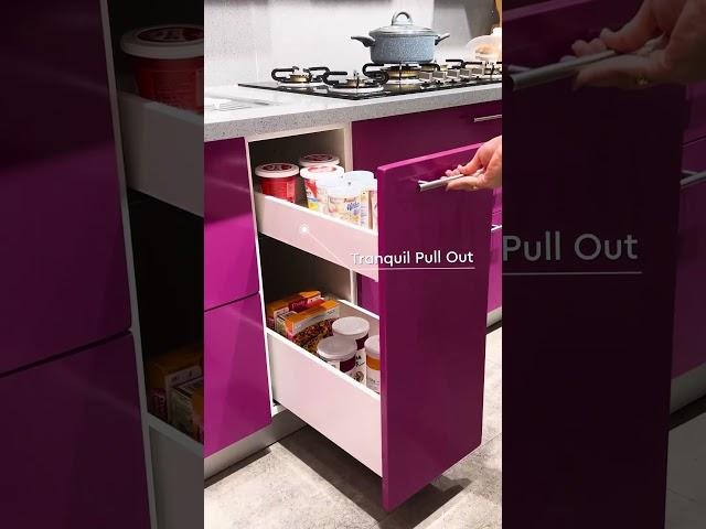 Say goodbye to kitchen clutter | Godrej Interio Kitchens