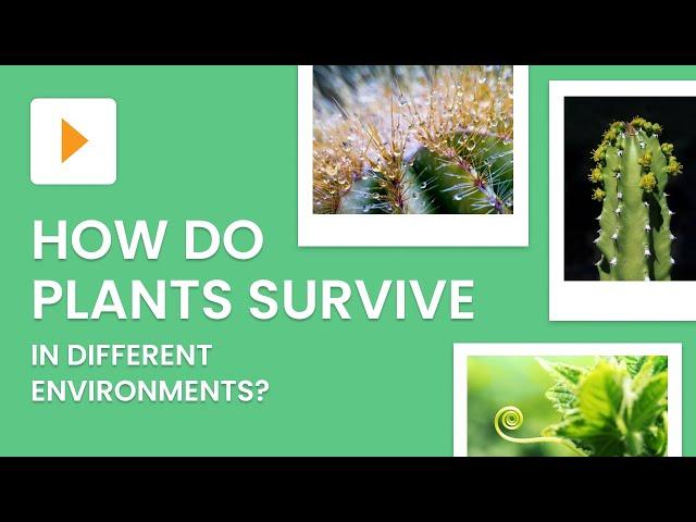 Plant Adaptations Explained | Science | ClickView