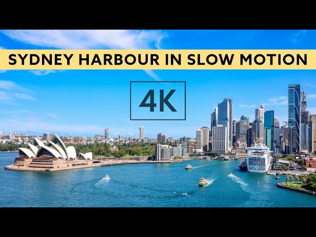 Relaxing Sydney Harbour Views - 1 Hour of Calm Music and Scenic Beauty