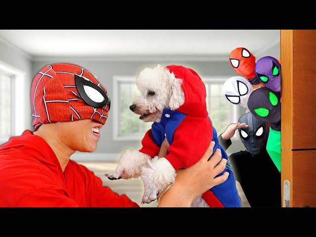 Bros 6 SuperHeroes vs NEW Puppy in SpiderMan House !!