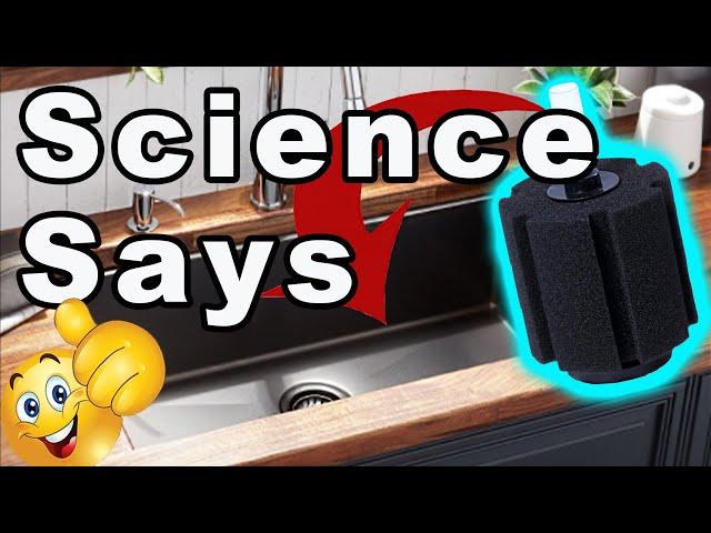 Aquarium Science Series: The Science Behind Cleaning Sponge Filters in Chlorinated Tap Water