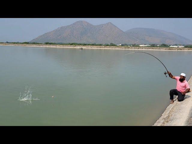 "SINGHARA FISHES AND BAAMFISH CATCHING :AMAZING SMALL HOOK FLOAT FISHING TECHNIQUES IN VILLAGES"