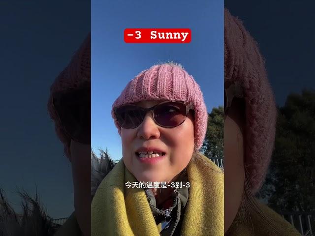 -3 Sunny 晴冷#ukweather