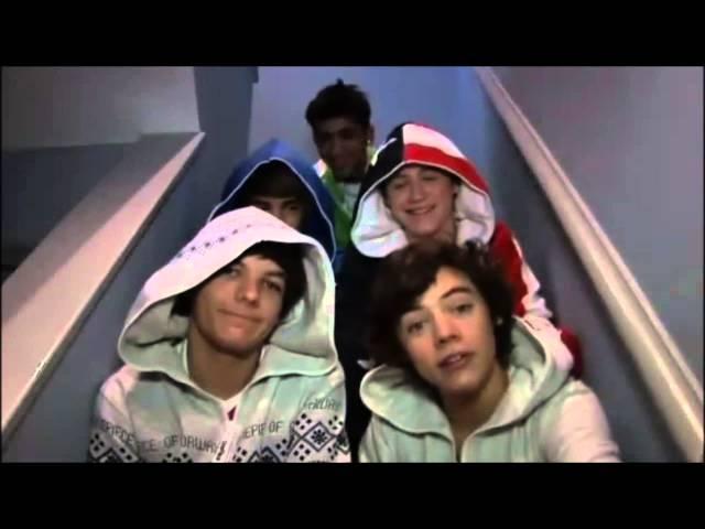 One Direction Video Diaries (ALL)