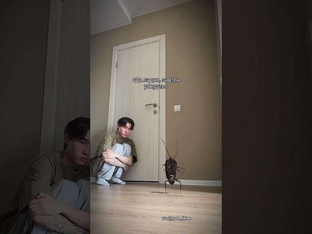 Жизненно? 🪳 #юкан ️ПОДПИШИСЬ️