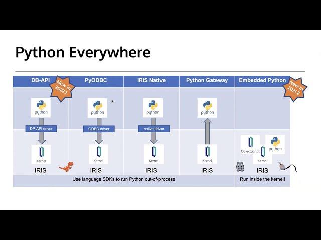 InterSystems IRIS Tech Talk: Python